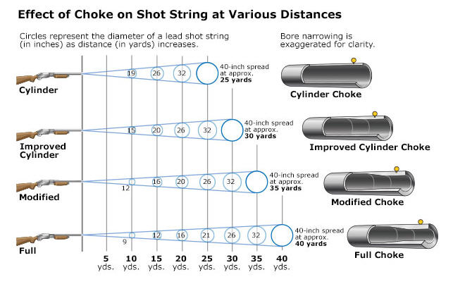 Which Two Shotgun Chokes Are Best for Hunting Small, Fast, Close Birds?