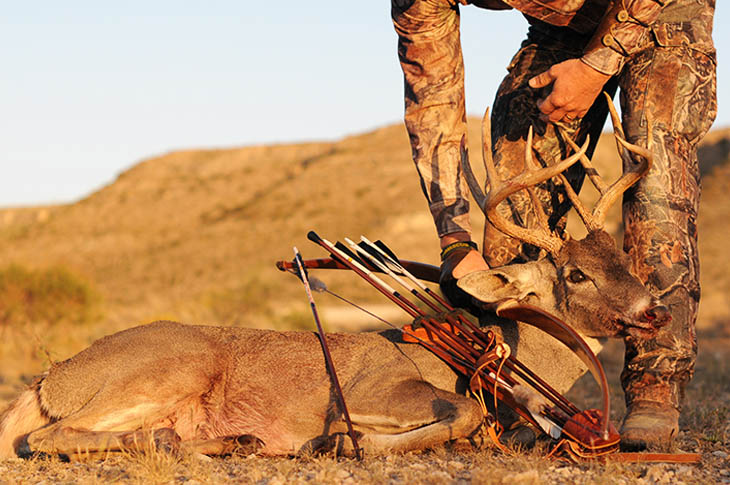 Beginner's Guide to Bowhunting - What You Should Know