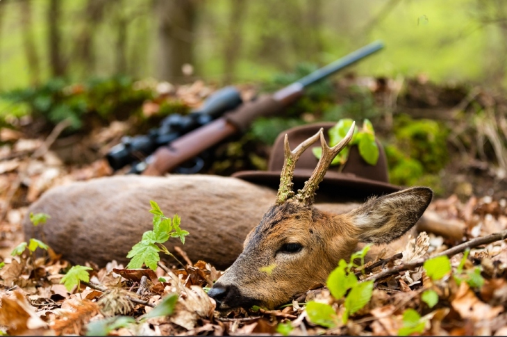 Tips to Ensure a Successful Hunt with New Strategies
