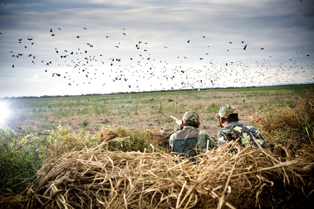 Understanding Hunting Regulations and Safety 