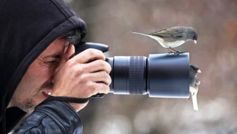 Capturing Spellbinding Photos of Wildlife: A Guide to Snapping Eye-Catching Animal Shots