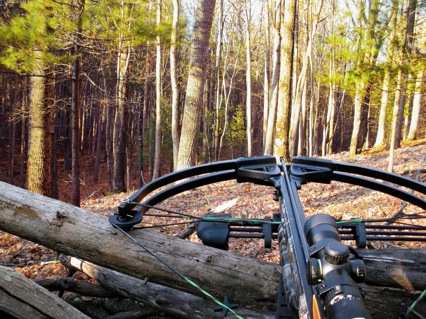 Top-Selling Hunting Crossbows on Amazon