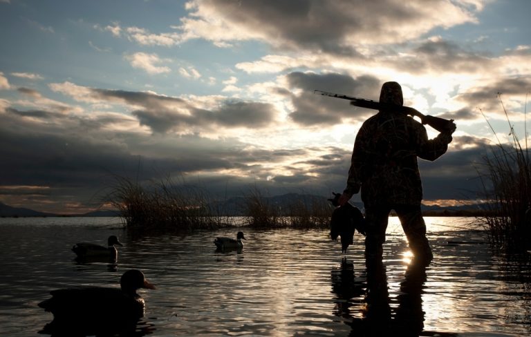 The Art of Duck Hunting: Selecting the Perfect Choke for Every Scenario