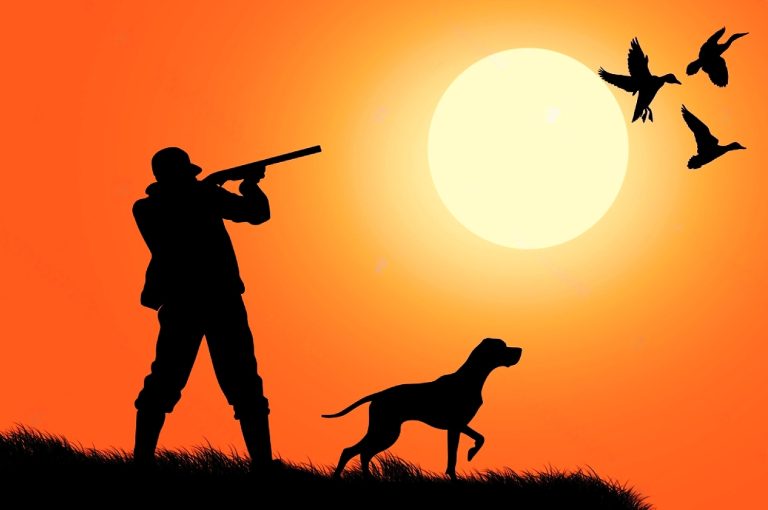 Hunting as a Thrilling, Traditional American Sport