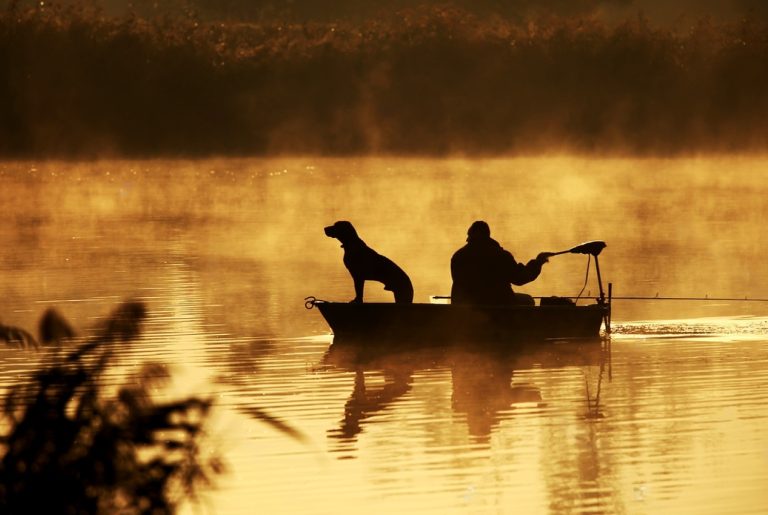 Handling Your Hunting Dog in a Boat – Safety Tips and Best Gear